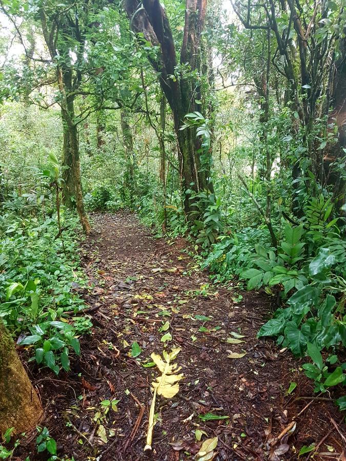 Casa El Granero Monteverde Kültér fotó